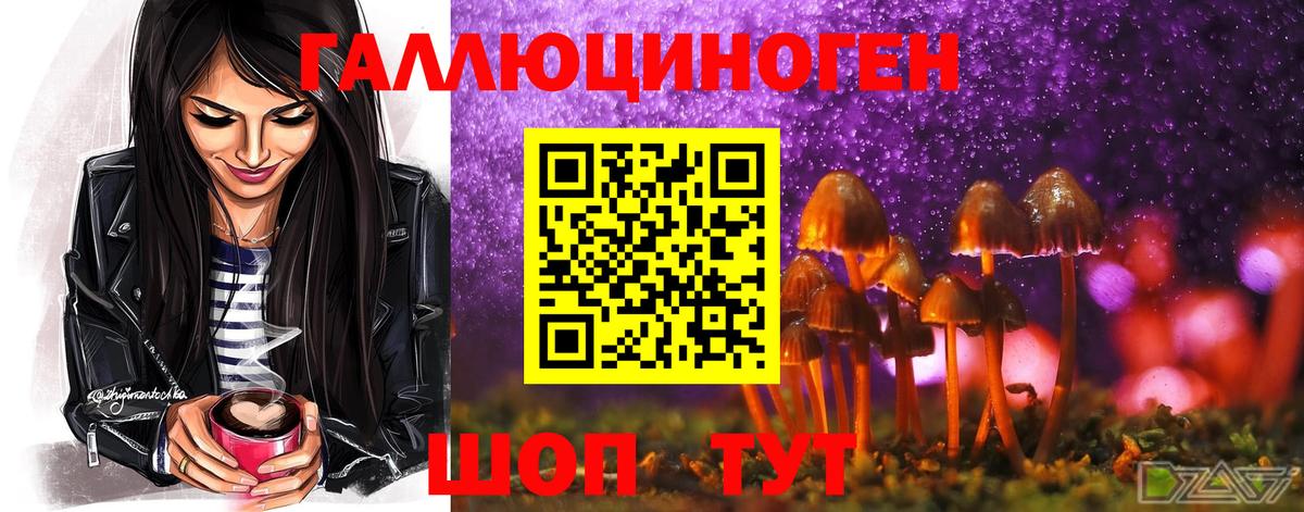 Галлюциногенные грибы GOLDEN TEACHER Великий Новгород