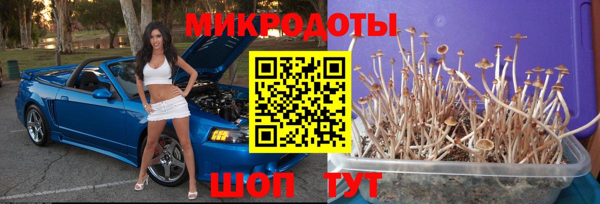 Галлюциногенные грибы Cubensis  Вход с VPN  Великий Новгород  Галлюциногенные грибы ЛСД 
